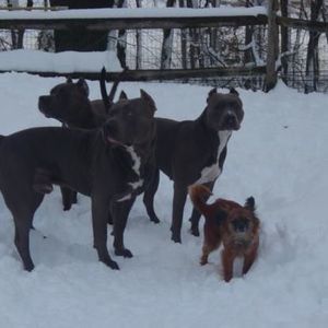 Meet your Posher, Jane